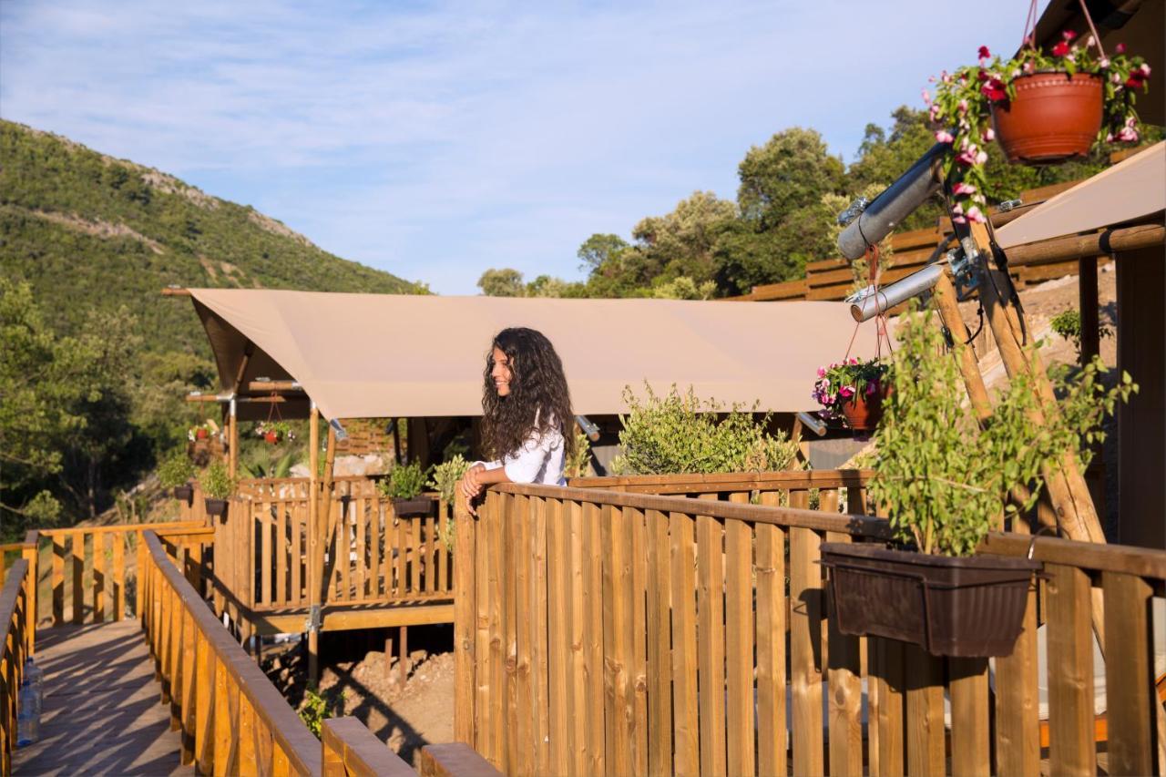 Sea Glamping Hotell Kotor Eksteriør bilde