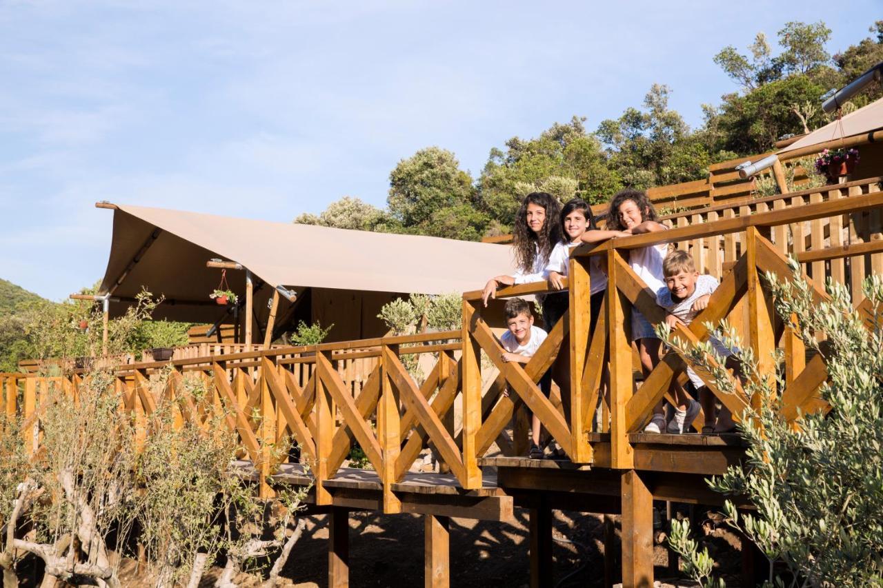 Sea Glamping Hotell Kotor Eksteriør bilde